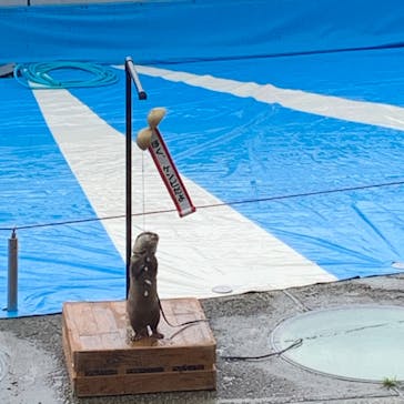 大分マリーンパレス水族館 「うみたまご」に投稿された画像（2020/9/12）