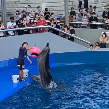 大分マリーンパレス水族館 「うみたまご」に投稿された画像（2020/9/12）