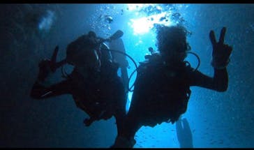 武藤潜水に投稿された画像（2020/9/12）