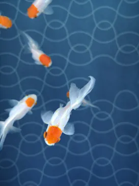 すみだ水族館に投稿された画像（2020/9/12）