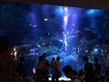 すみだ水族館に投稿された画像（2020/9/12）