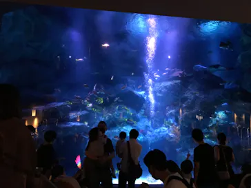 すみだ水族館に投稿された画像（2020/9/12）