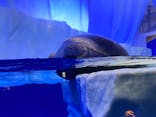 サンシャイン水族館に投稿された画像（2020/9/12）