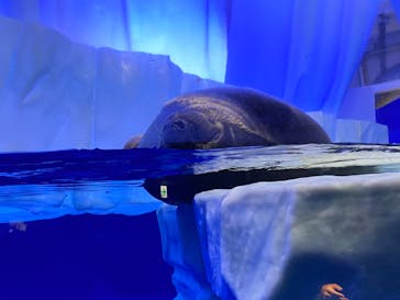 サンシャイン水族館に投稿された画像（2020/9/12）