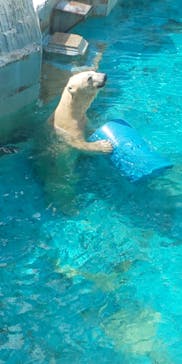 天王寺動物園に投稿された画像（2020/9/12）