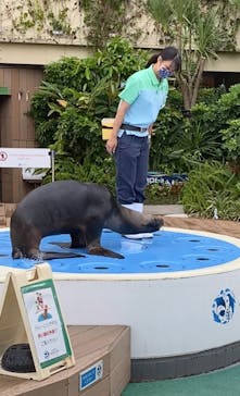 サンシャイン水族館に投稿された画像（2020/9/12）