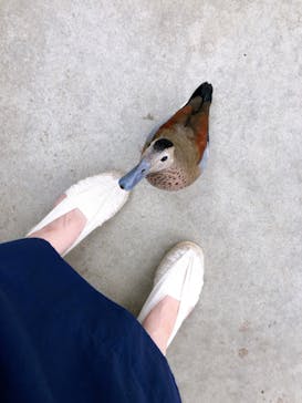 神戸どうぶつ王国に投稿された画像（2020/9/12）