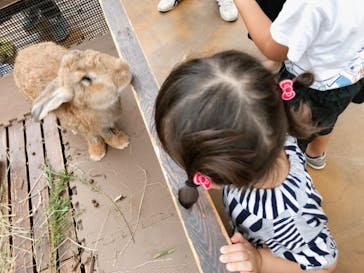 神戸どうぶつ王国に投稿された画像（2020/9/12）