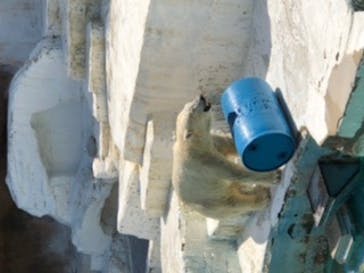 天王寺動物園に投稿された画像（2020/9/12）