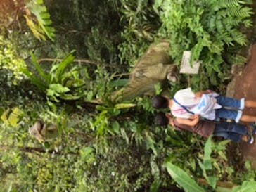 御菓子御殿　名護店　やんばる亜熱帯の森DINO恐竜PARKに投稿された画像（2020/9/12）