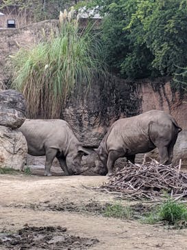 天王寺動物園に投稿された画像（2020/9/12）
