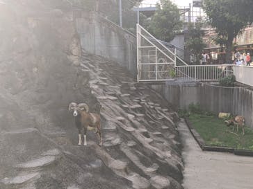 天王寺動物園に投稿された画像（2020/9/12）