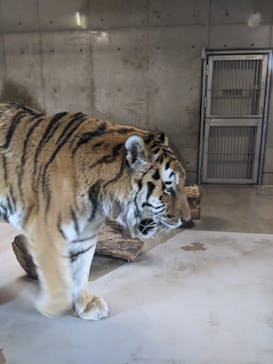 天王寺動物園に投稿された画像（2020/9/12）