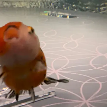 すみだ水族館に投稿された画像（2020/9/12）