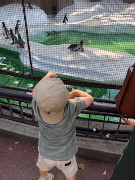 天王寺動物園に投稿された画像（2020/9/12）