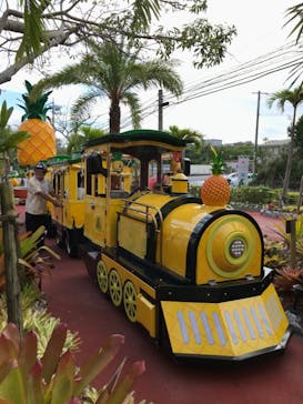 ナゴパイナップルパークに投稿された画像（2020/9/12）