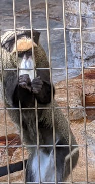 天王寺動物園に投稿された画像（2020/9/12）