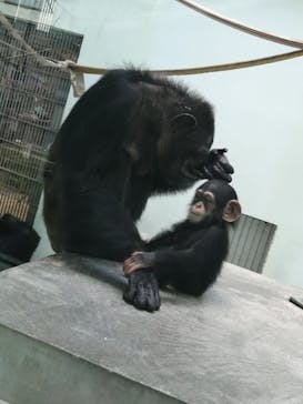 沖縄こどもの国に投稿された画像（2020/9/12）