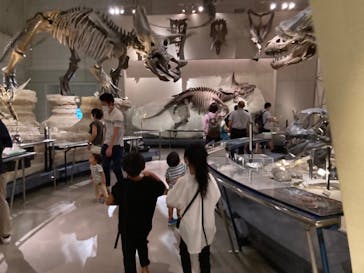 国立科学博物館に投稿された画像（2020/9/12）