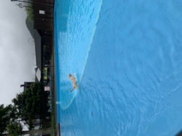 わんダフルネイチャーヴィレッジに投稿された画像（2020/9/12）