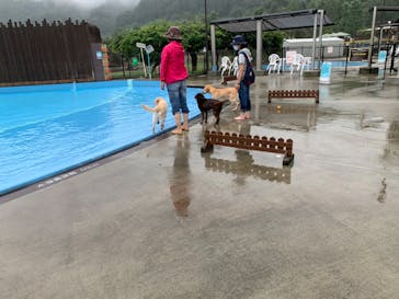 わんダフルネイチャーヴィレッジに投稿された画像（2020/9/12）