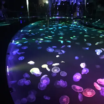 すみだ水族館に投稿された画像（2020/9/12）