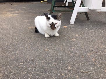 ノーザンホースパークに投稿された画像（2020/9/12）