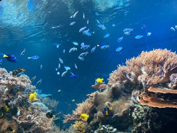 株式会社Gに投稿された画像（2020/9/12）