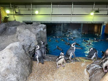 株式会社Gに投稿された画像（2020/9/12）