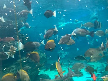 株式会社Gに投稿された画像（2020/9/12）