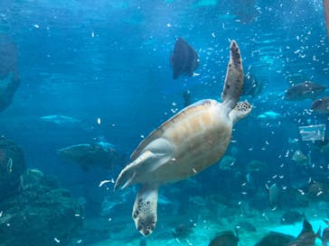 株式会社Gに投稿された画像（2020/9/12）