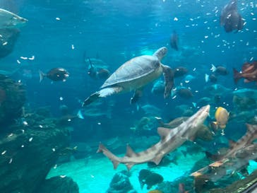 株式会社Gに投稿された画像（2020/9/12）