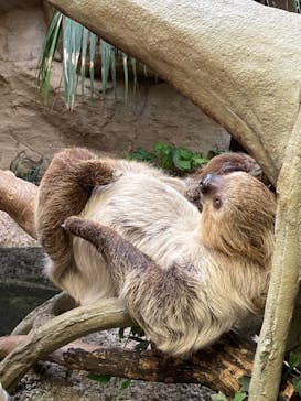 那須どうぶつ王国に投稿された画像（2020/9/12）