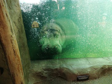 天王寺動物園に投稿された画像（2020/9/12）