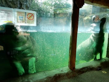 天王寺動物園に投稿された画像（2020/9/12）