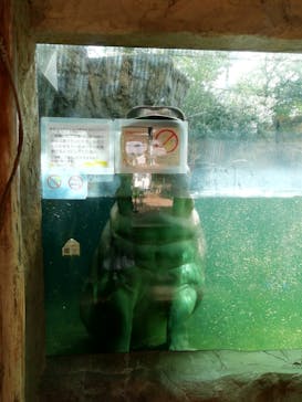 天王寺動物園に投稿された画像（2020/9/12）