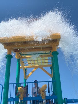 日本モンキーパークに投稿された画像（2020/9/12）