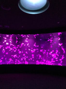 サンシャイン水族館に投稿された画像（2020/9/12）