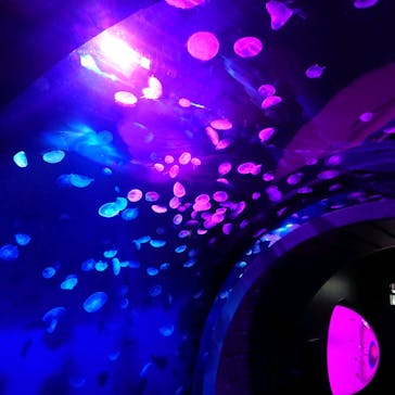 サンシャイン水族館に投稿された画像（2020/9/12）