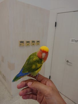 Moff animal world BIGHOPガーデンモール印西店に投稿された画像（2020/9/12）