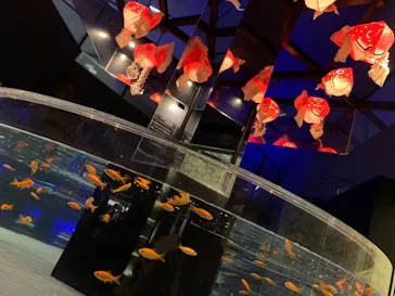 すみだ水族館に投稿された画像（2020/9/12）