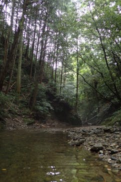 Verde Odai（ベルデオオダイ）に投稿された画像（2020/9/12）