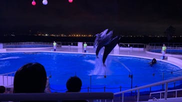 マリンワールド海の中道に投稿された画像（2020/9/12）