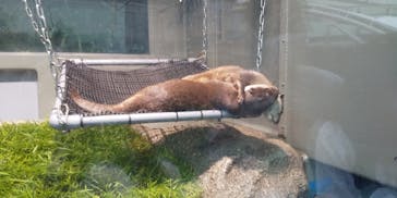 サンシャイン水族館に投稿された画像（2020/9/12）
