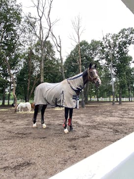 ノーザンホースパークに投稿された画像（2020/9/12）