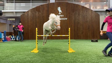 ノーザンホースパークに投稿された画像（2020/9/12）