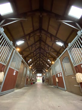 ノーザンホースパークに投稿された画像（2020/9/12）