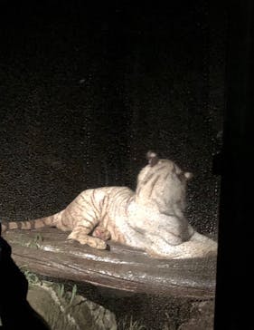 群馬サファリパークに投稿された画像（2020/9/13）