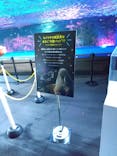 サンシャイン水族館に投稿された画像（2020/9/13）