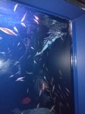 サンシャイン水族館に投稿された画像（2020/9/13）